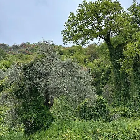 Holiday home La Casa Del Patio Iseo