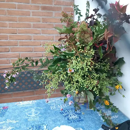 La Casa Del Patio