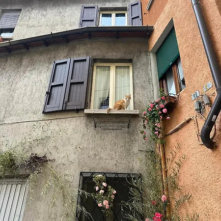 La Casa Del Patio 펜션 *